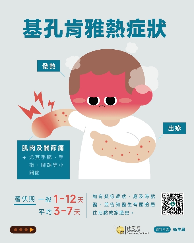 基孔肯雅热图文包