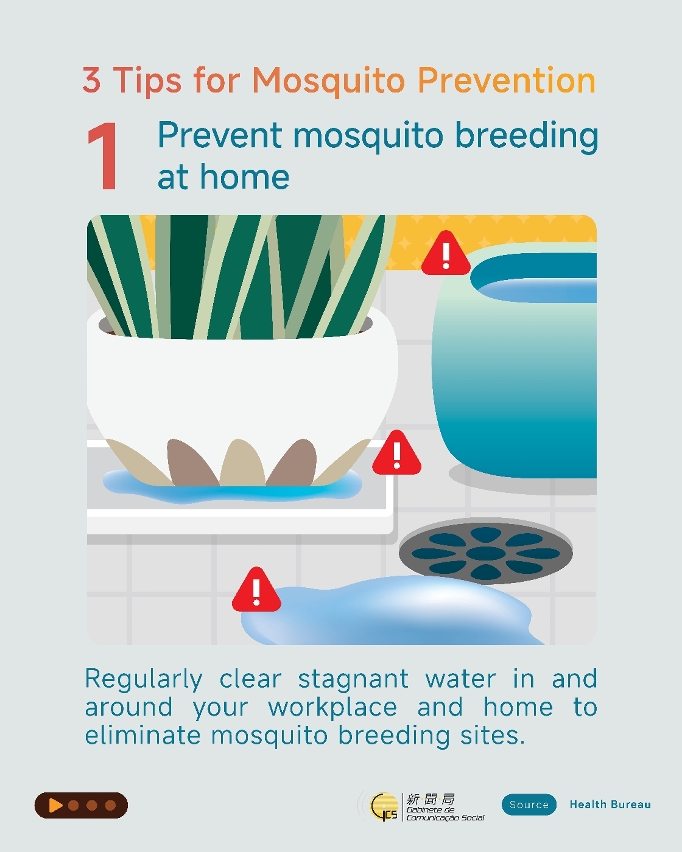 Infographics about chikungunya fever