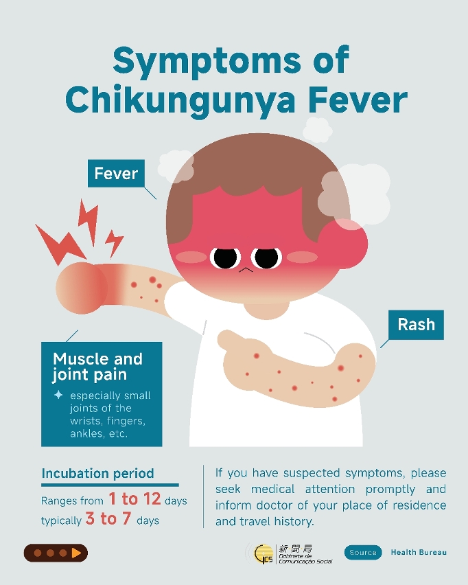 Infographics about chikungunya fever