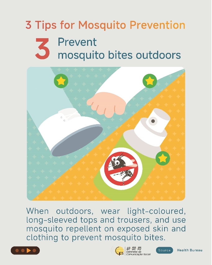Infographics about chikungunya fever