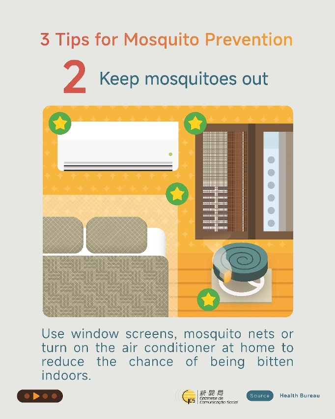 Infographics about chikungunya fever