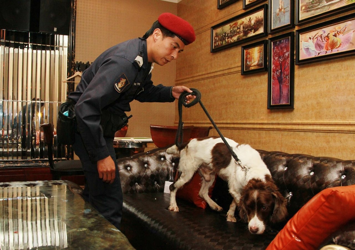 行動攜同警犬協助搜查