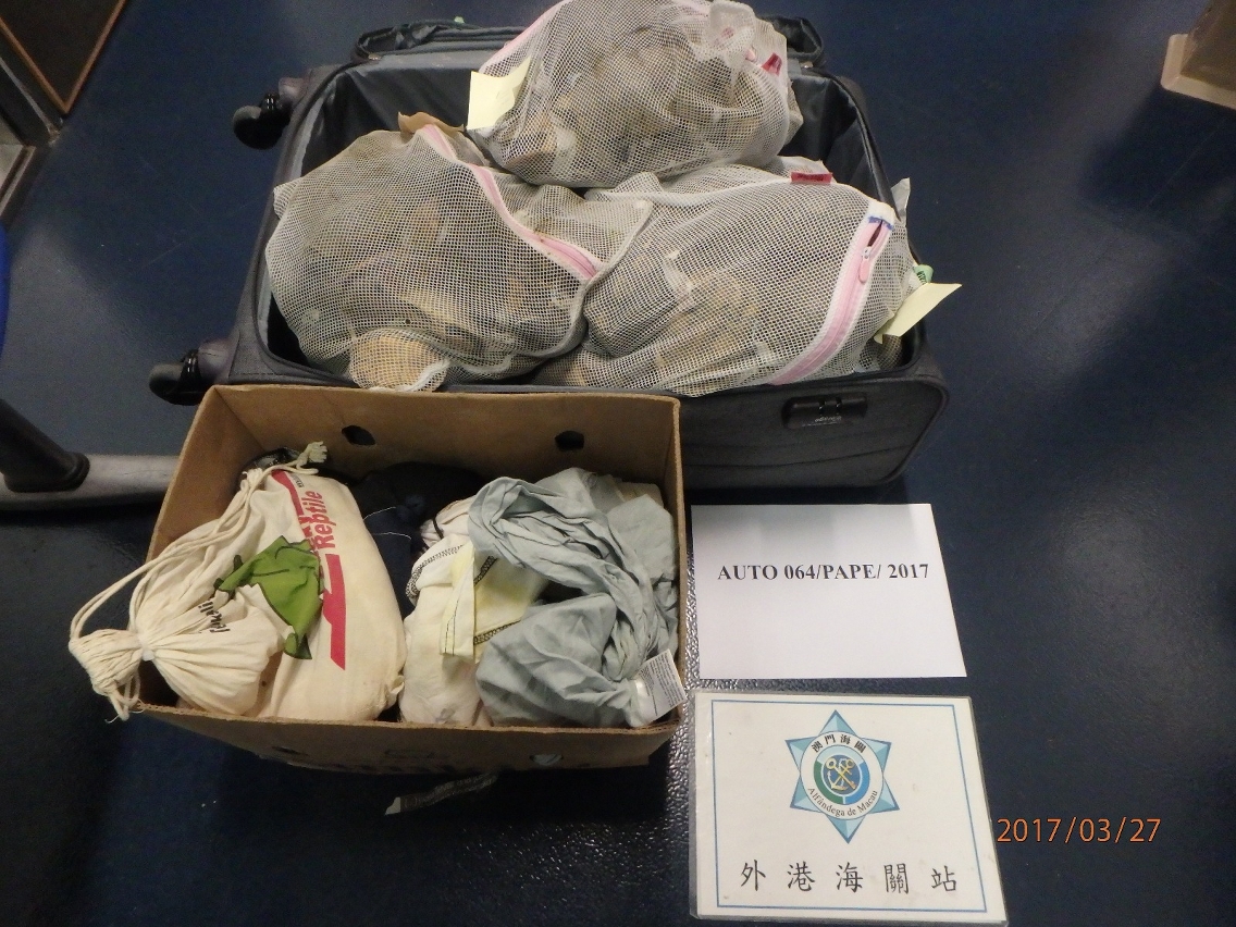 外港截獲一名旅客利用行李箱偷運活動物入境