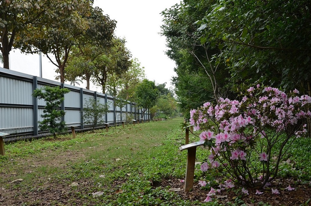 生態區的各種植物陸續開花，相中花卉為錦繡杜鵑 (學名：Rhododendron pulchrum)