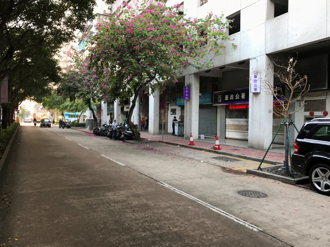 “黑沙環／政府綜合服務大樓＂將遷移至勞動節街近廉政公署側