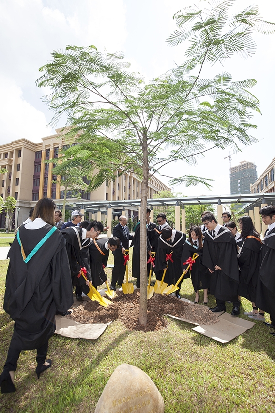 The Class of 2015 graduates plant a flame tree with the rector