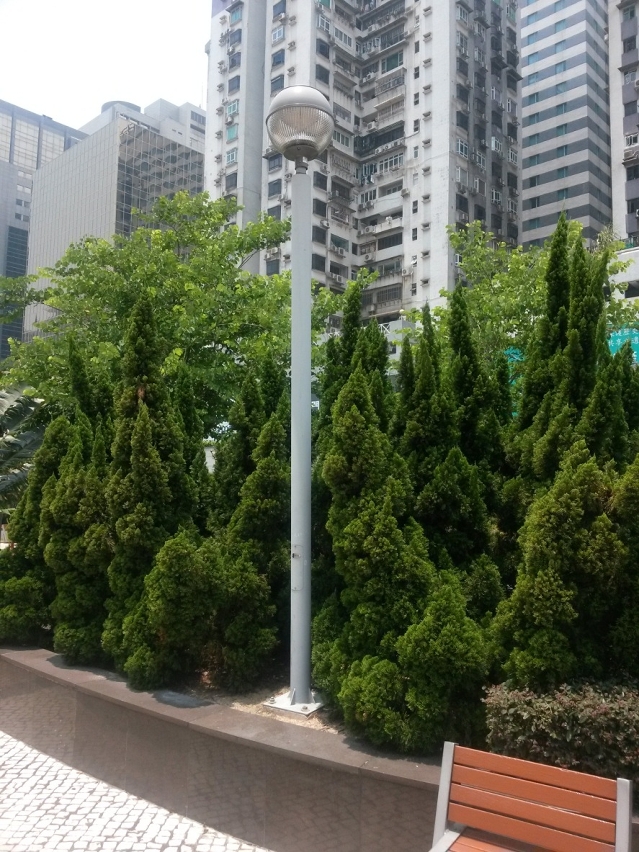 何賢公園新安裝LED燈柱