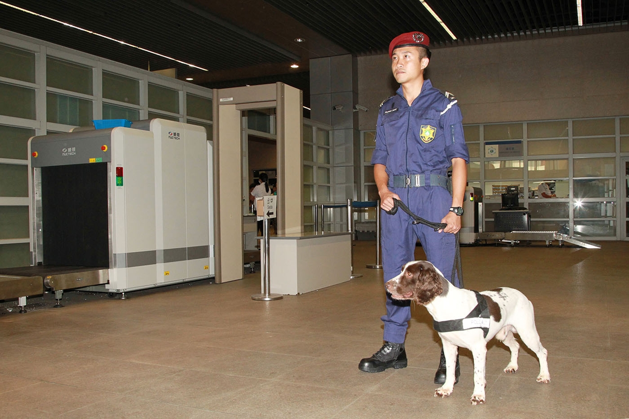 特警領犬員與警犬準備進行嗅聞行李
