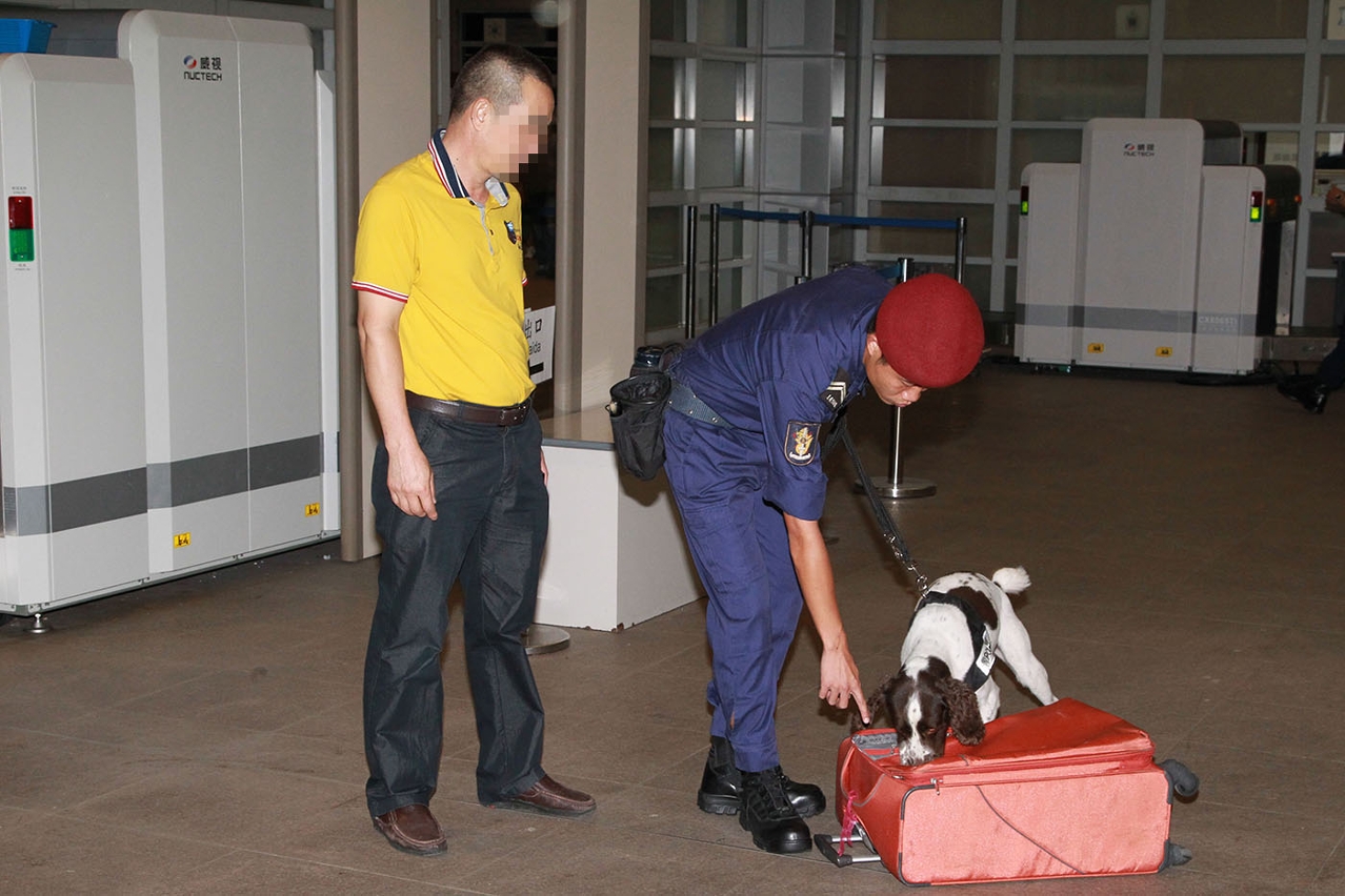 警犬在領犬員指示下搜查行李