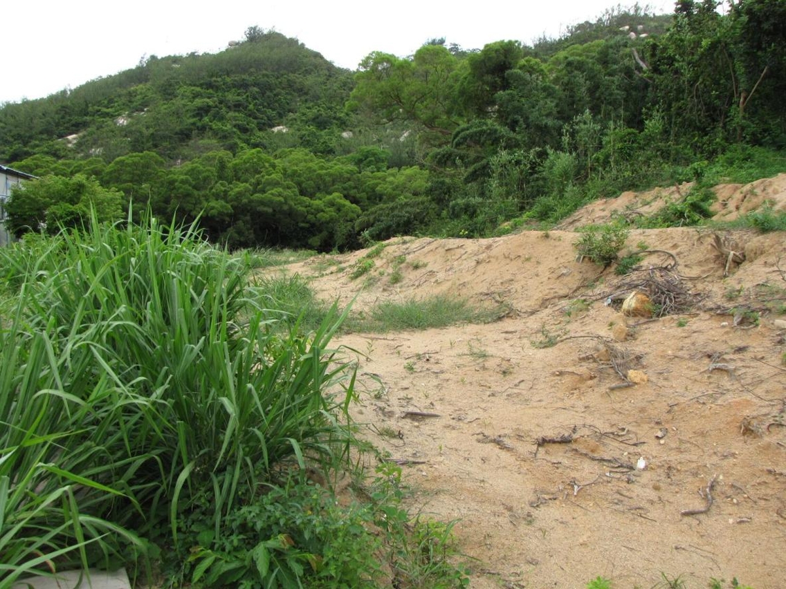 經非法開挖後綠地其土質已呈鬆散