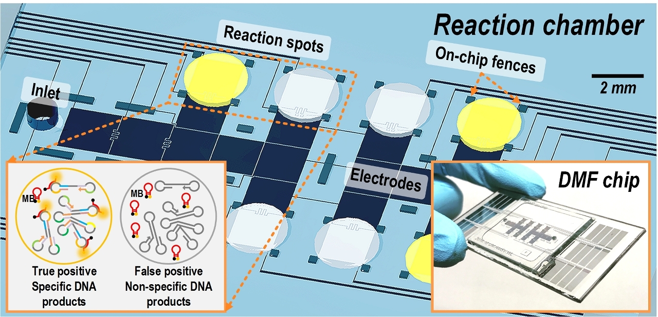 UM has developed a new type of fast and accurate parasite detection method