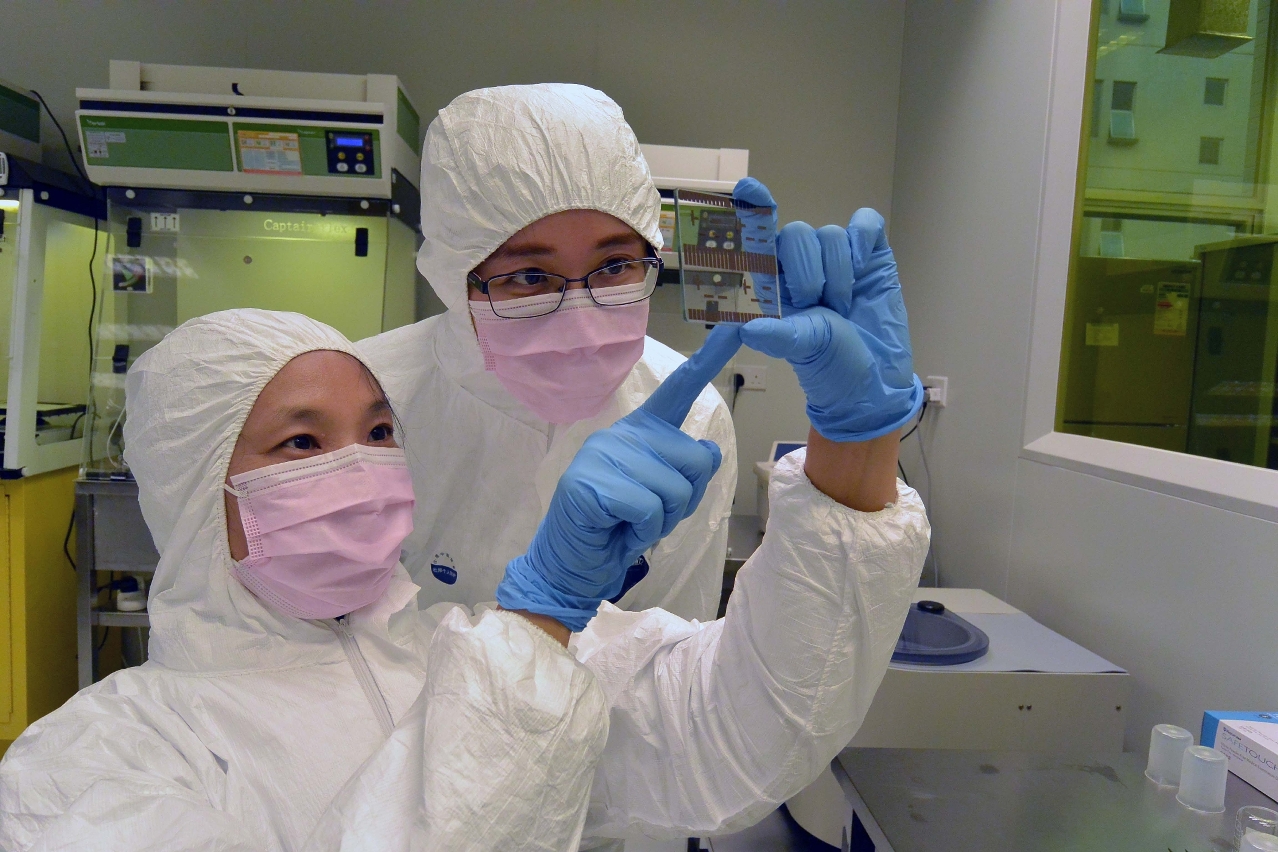 UM has developed a new type of fast and accurate parasite detection method