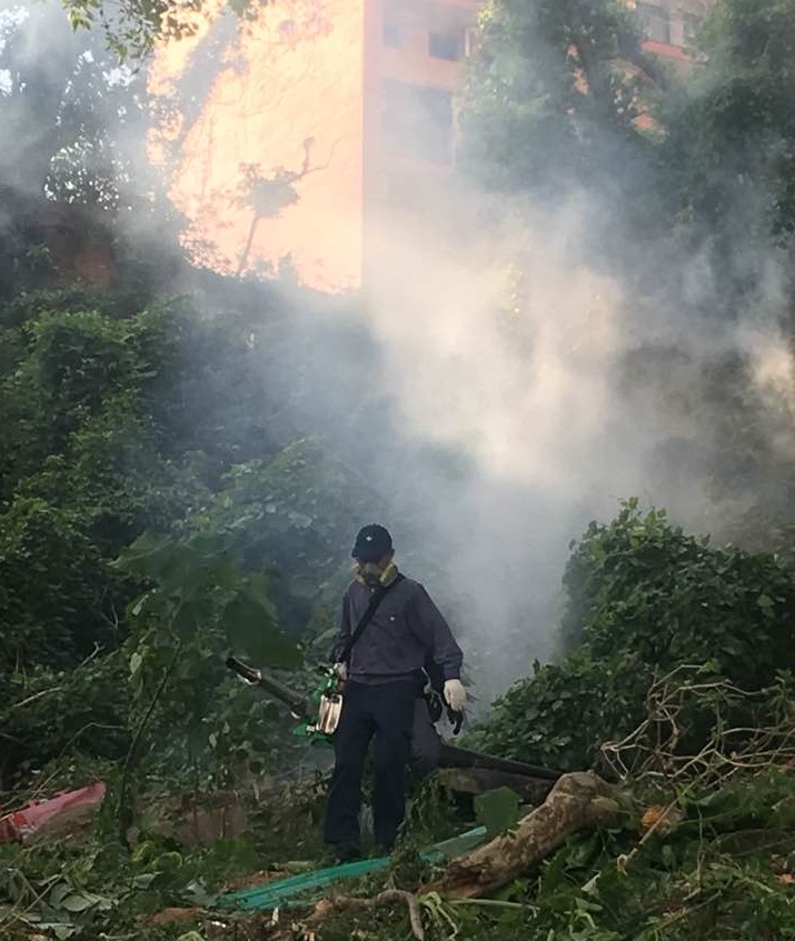 衛生局亦派員進行滅蚊