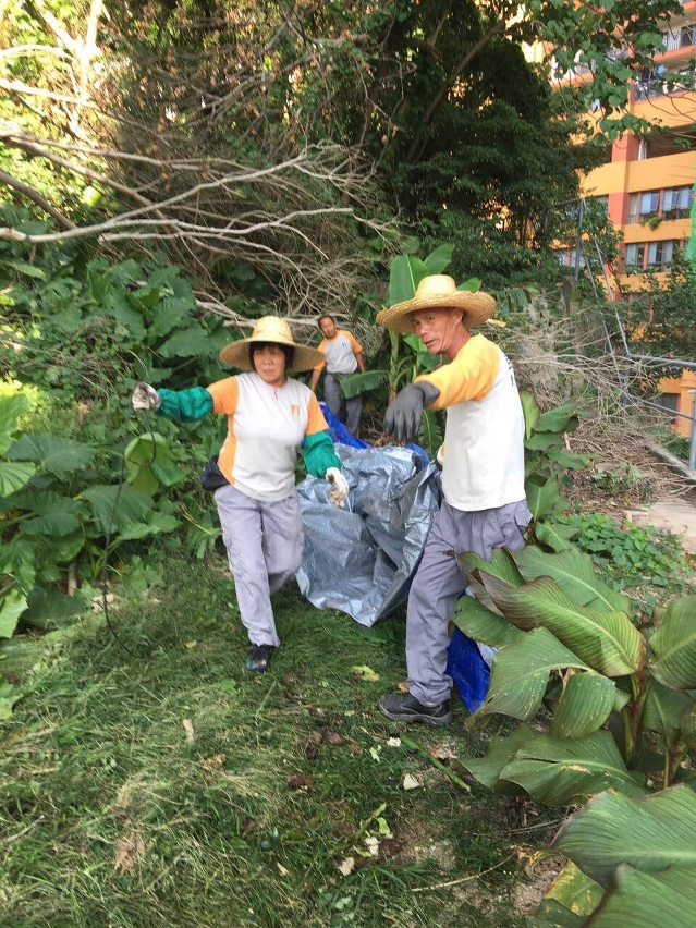 民署持續有派員清理青洲山一帶的垃圾雜物及積水