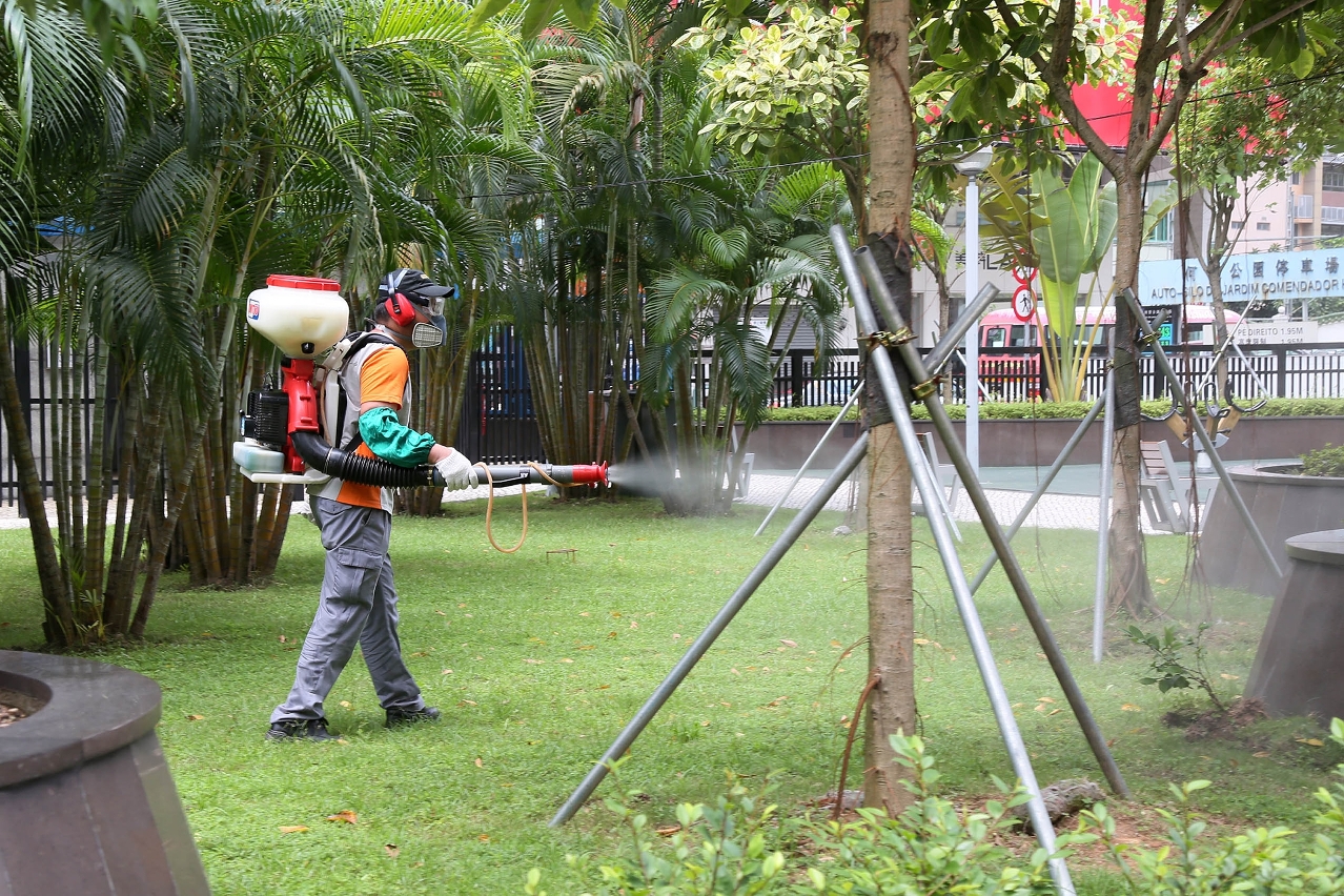 O IACM procedeu à eliminação de mosquitos por meios químicos no Jardim do Comendador Ho Yin.