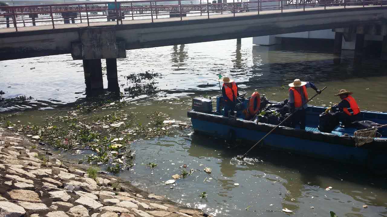 加緊清理外港沿岸垃圾