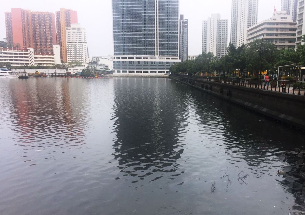 死魚清理工作大致完成