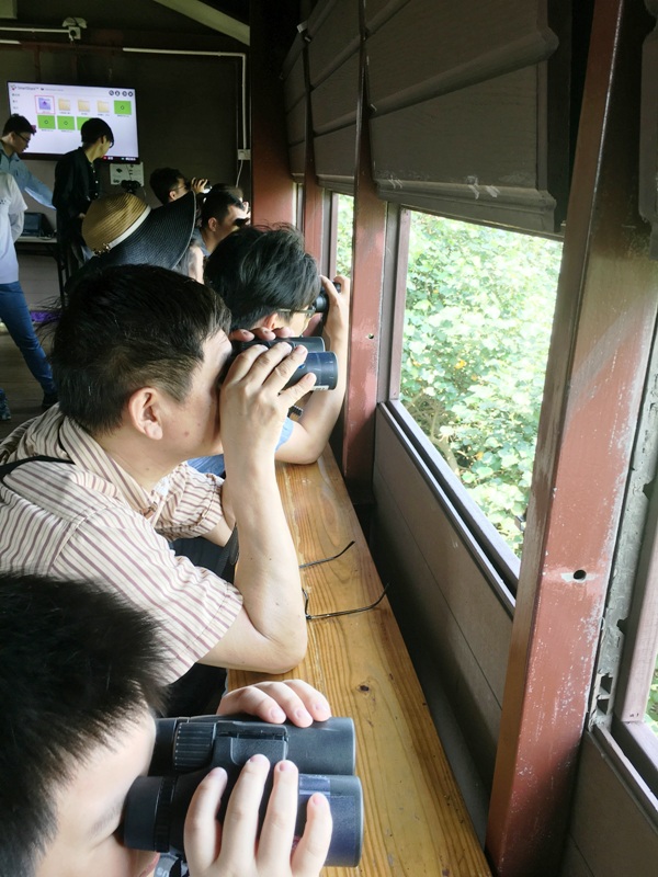 Os participantes estão a observar as aves no observatório destes animais localizado nas Zonas Ecológicas do Cotai.