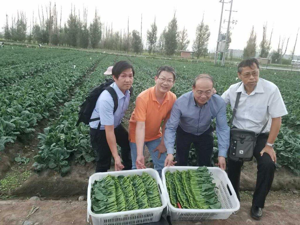 Visita de estudo a base de cultivo de produtos hortícolas