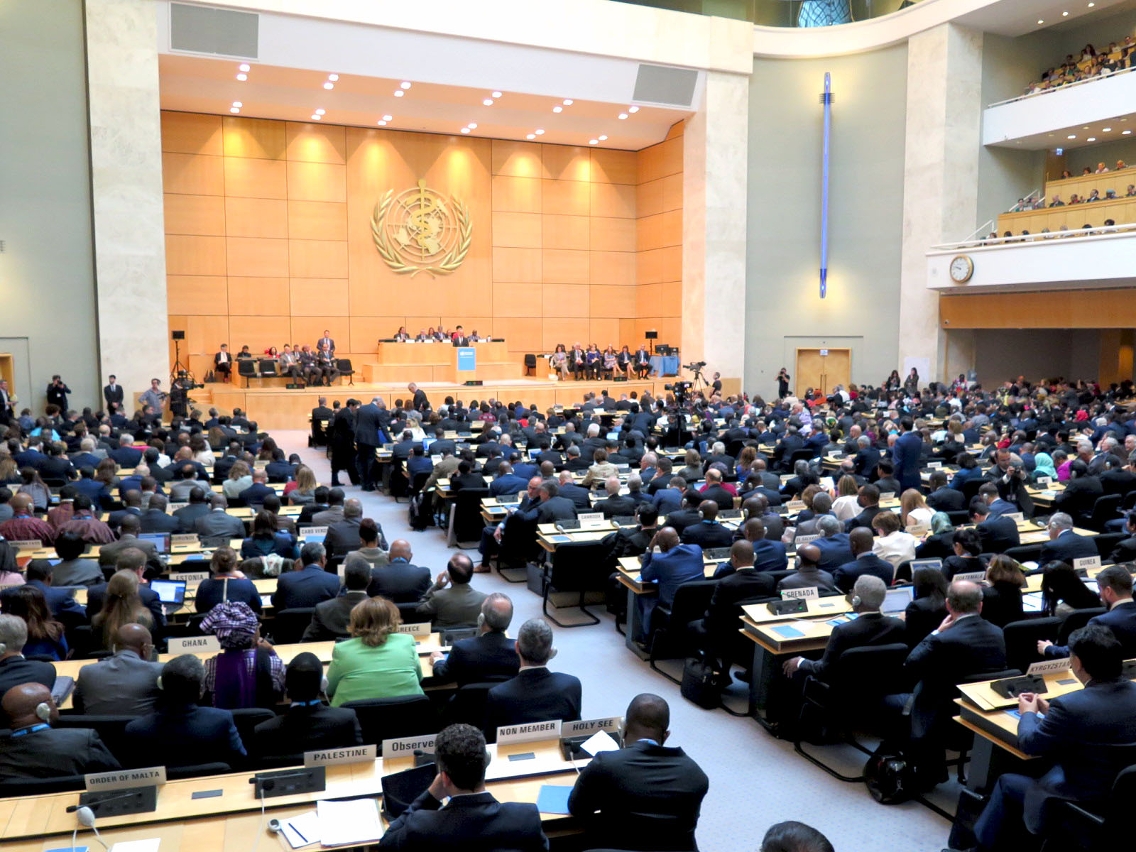 70.ª Assembleia Mundial da Saúde