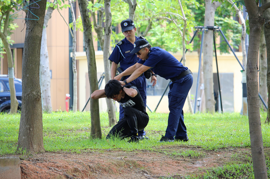 巡邏關員截獲的非法入境者