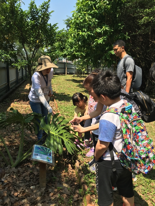 路氹城生態保護區公眾觀賞日是有益身心的親子活動，讓家長及小朋友共同增長自然生態的知識。