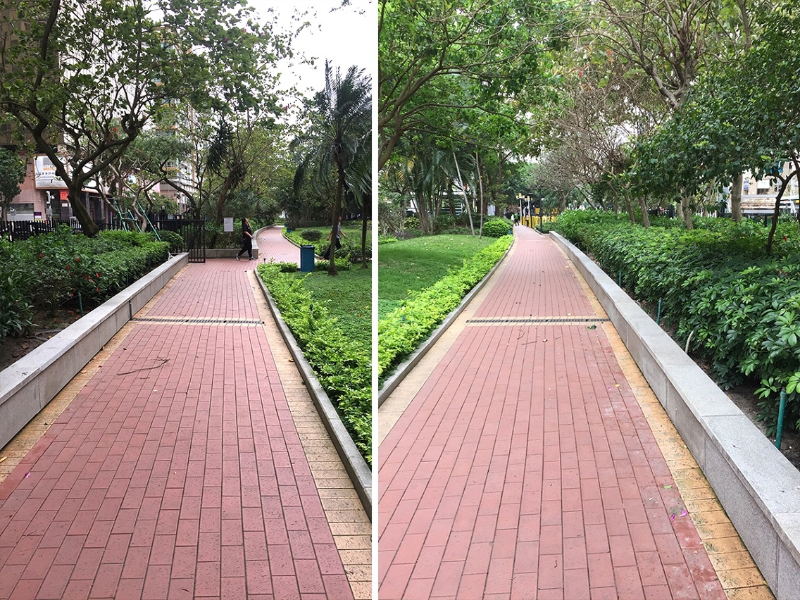 更新公園內所有沿邊石椅