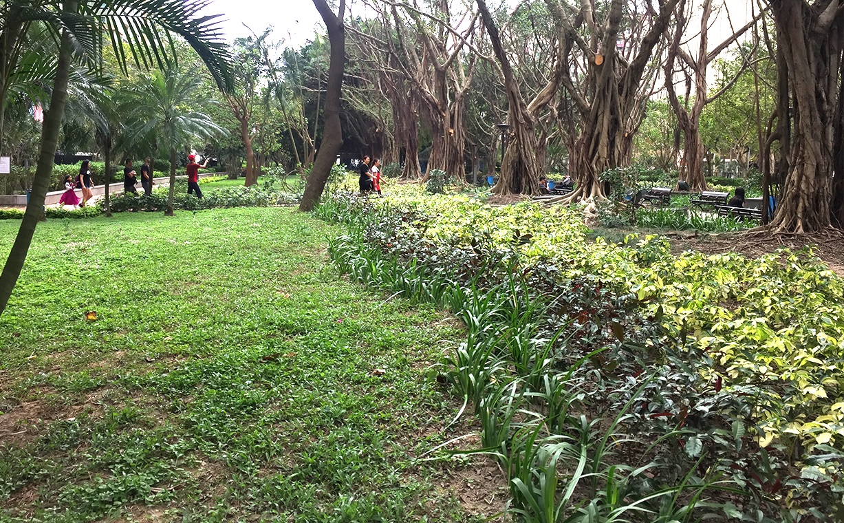 重新種植一萬五千株植物於園內中央林蔭帶