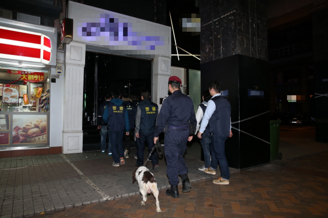 Agente com seu cão-polícia a inspeccionar diversos estabelecimentos de diversão.(Foto : Arquivo)