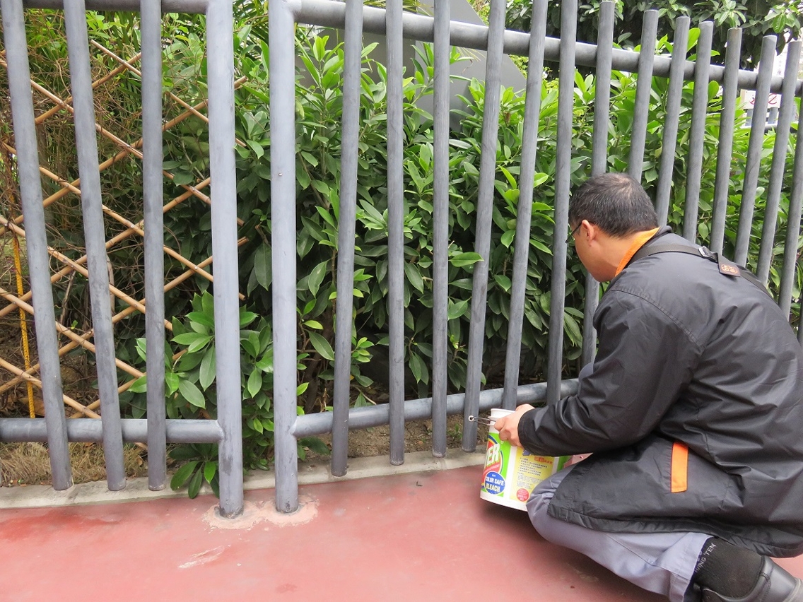 民署人員在中央公園佈餌滅鼠