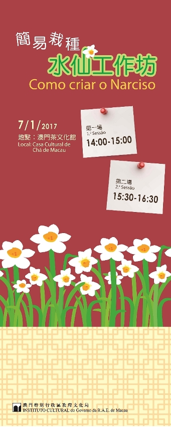 簡易栽種水仙工作坊