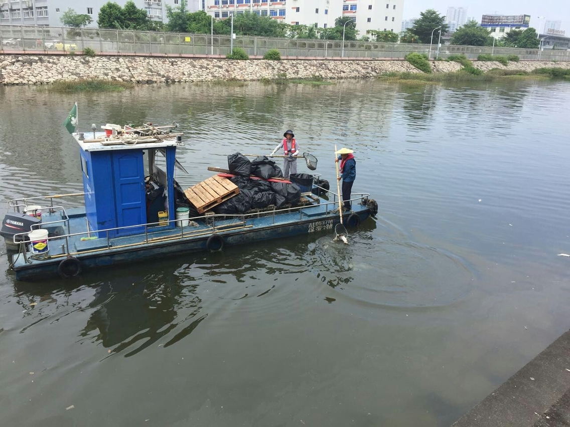 海事局派船和人員清理死魚