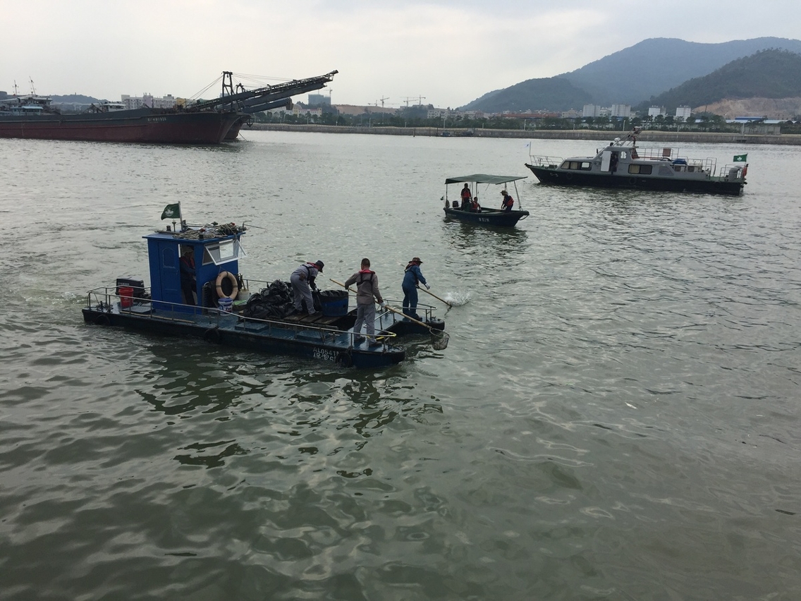 海面死魚基本清理完畢