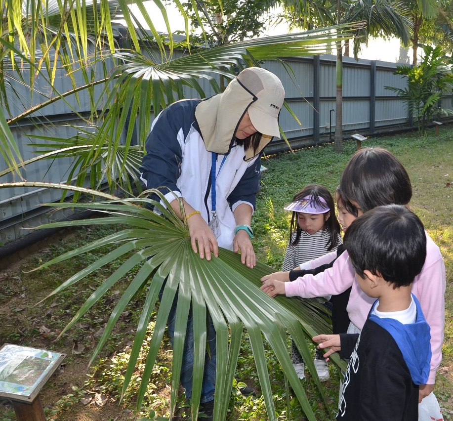 O instrutor mostra às crianças os diversos tipos das plantas, com vista a dar a conhecer as diferentes formas de folhas.