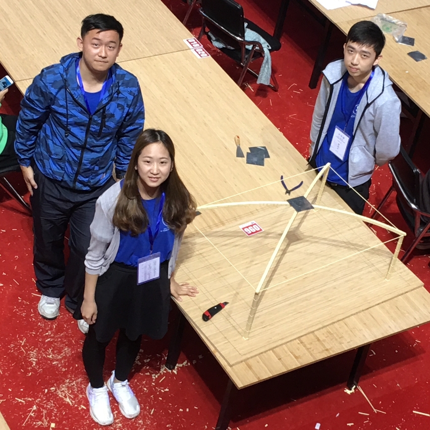 The UM team and their model structure