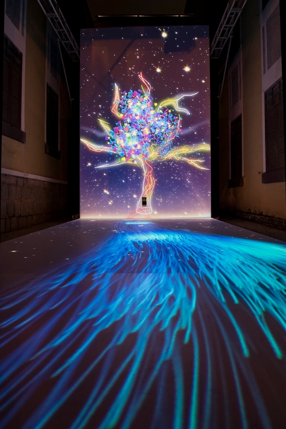 Abertura do “Festival de Luz de Macau 2016 - Tesouros de Luz”