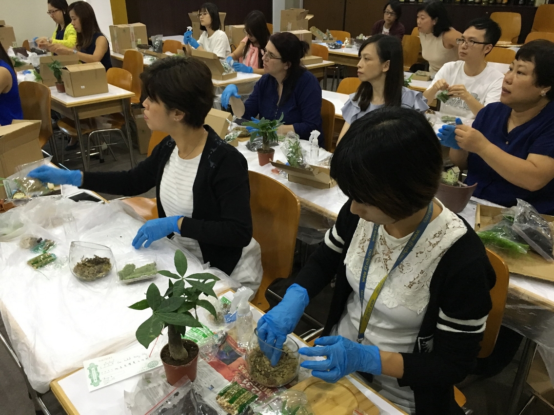 Students and staff joined “DIY Mini Plant Decoration” workshop