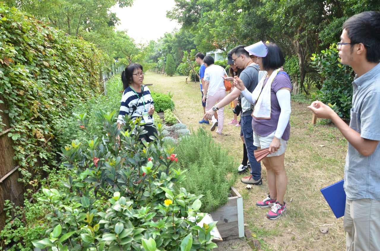 環保Fans協助介紹路氹城生態保護區內的香草區
