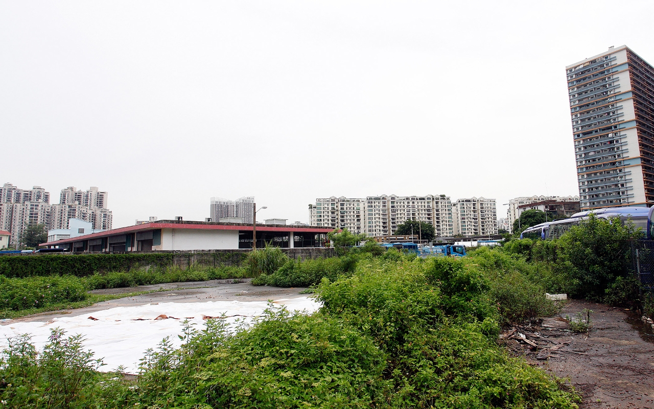 財政局青洲倉庫位於青洲河邊馬路與山茶街之間