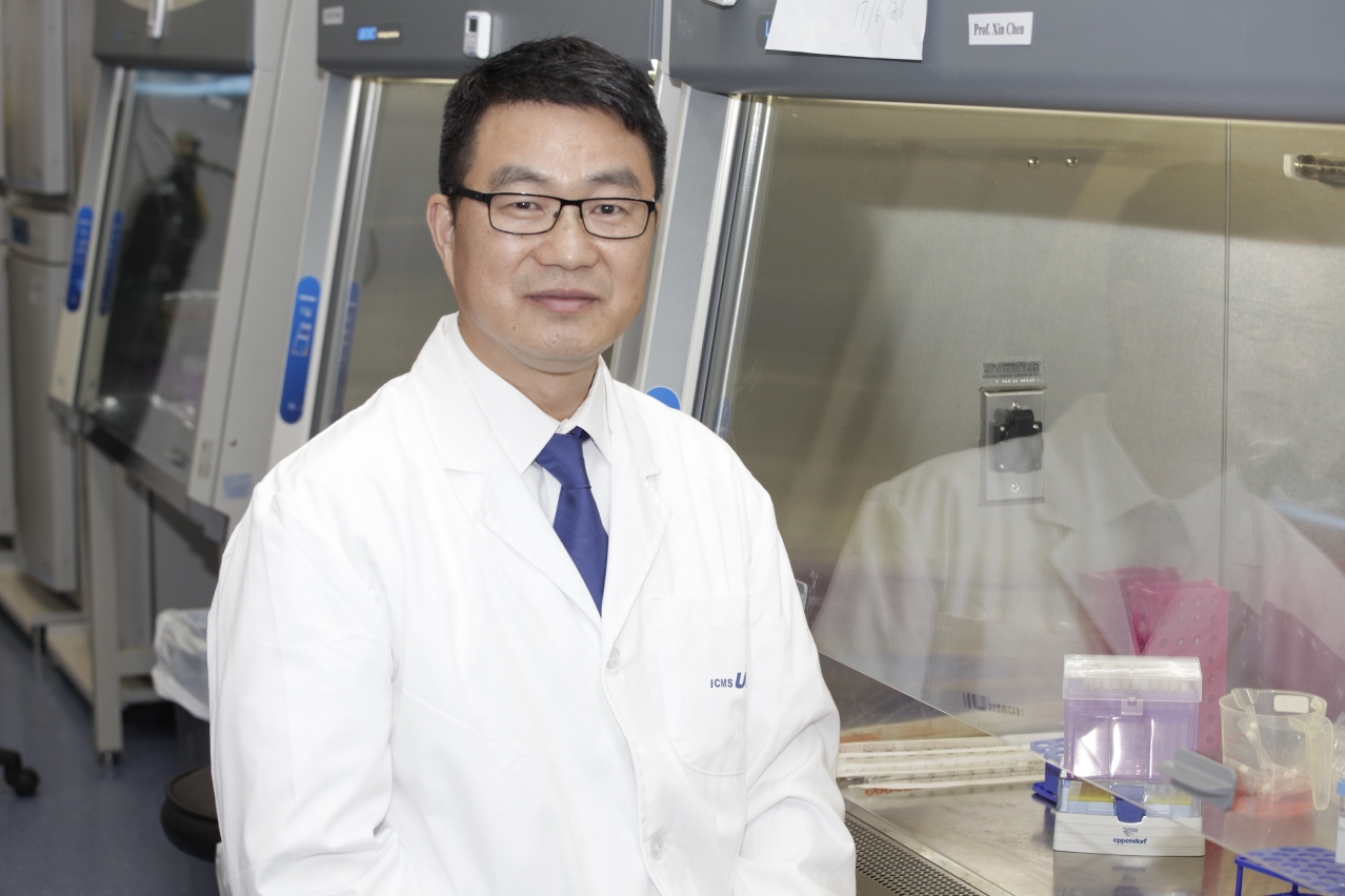 UM professor Chen Xin