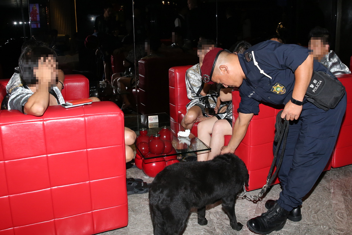 行動中出動警犬協助搜查