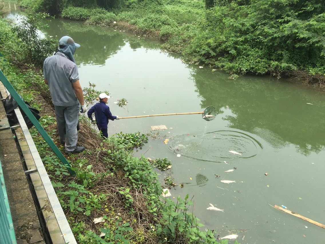 海事及水務局派員清理死魚