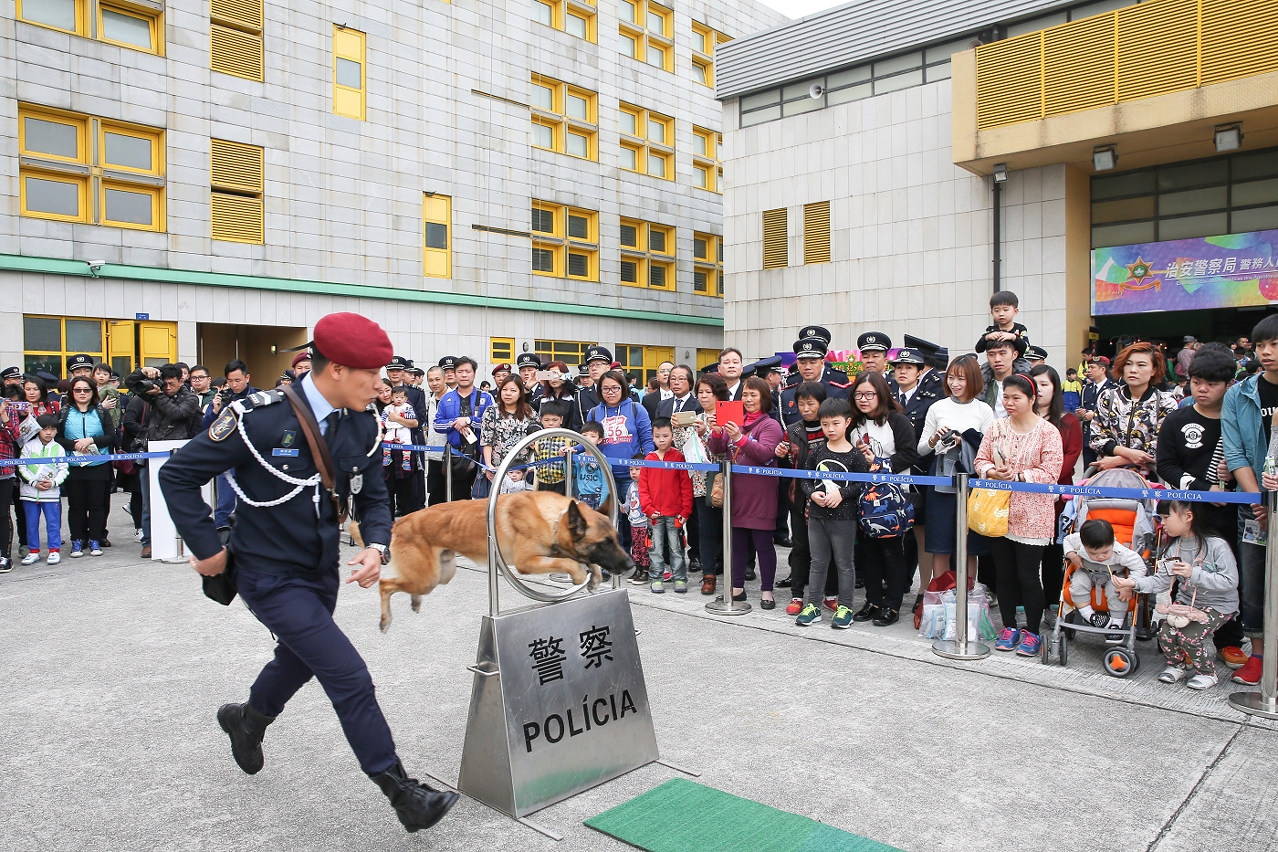 警犬隊精彩表演