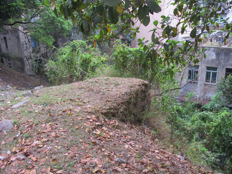 Antigas Muralhas da Cidade (troço próximo da Estrada do Visconde de S.Januário)