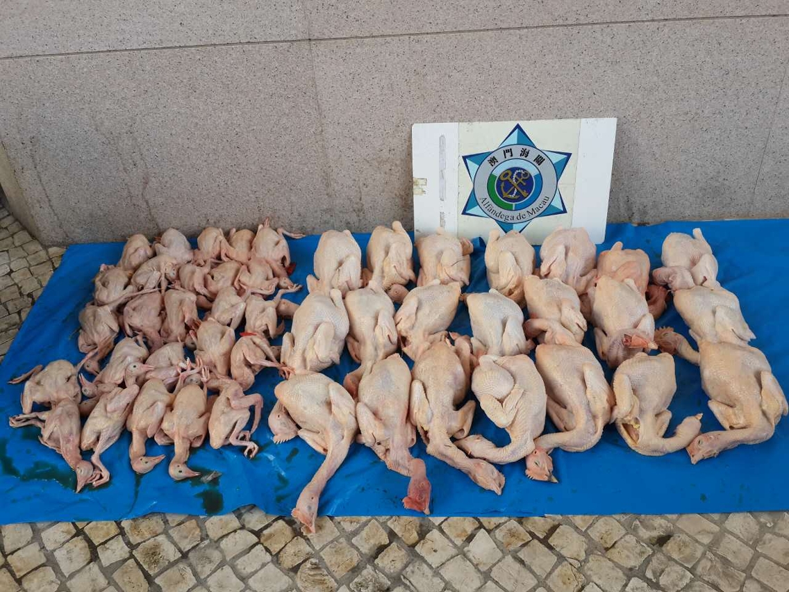 案中被海關扣押的禽鳥肉類