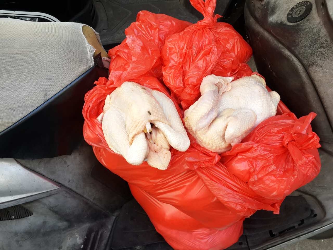 有關禽鳥肉類在電單車運送時，並沒有衛生保障。