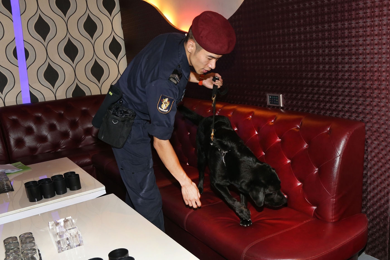 攜同警犬協助搜查