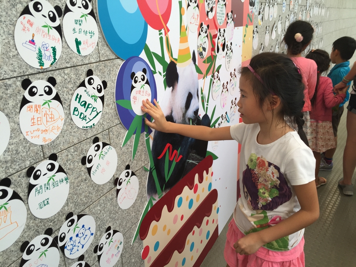 Children are posing their birthday wishes for giant panda “Kai Kai”.