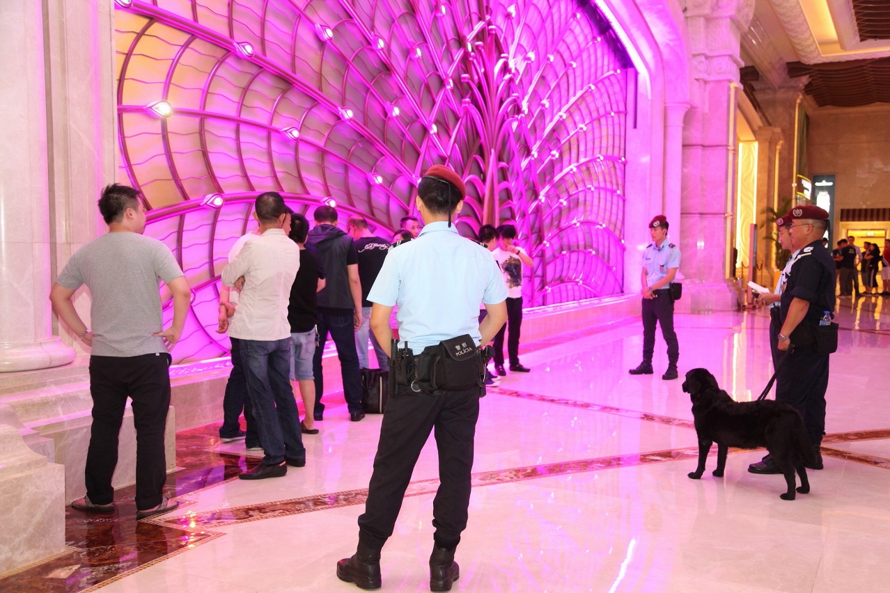 行動中出動警犬協助