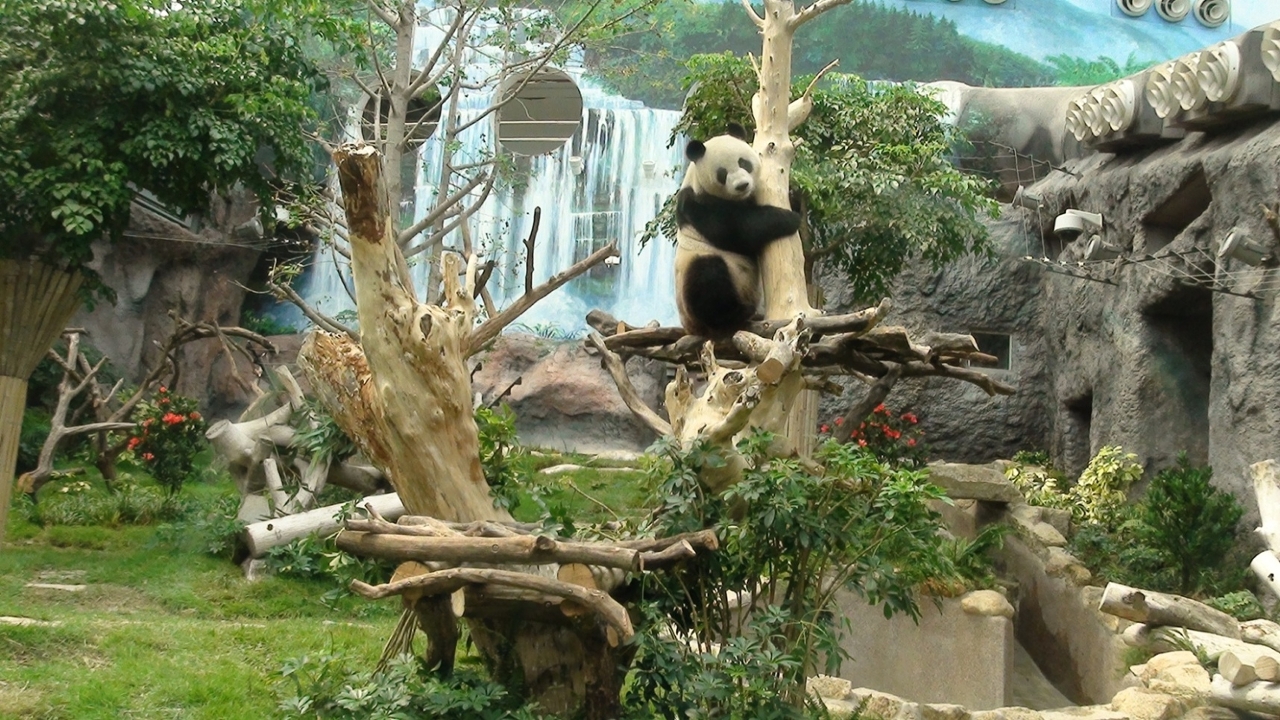 心心